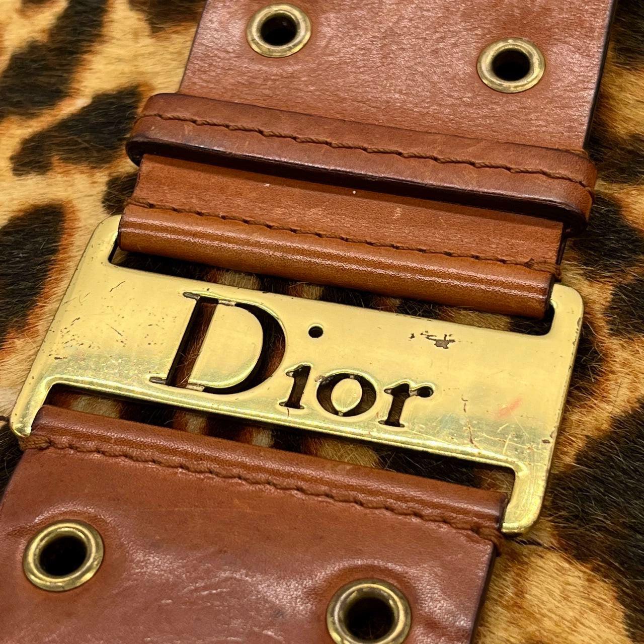 Dior Street Chic Hobo Leopard Print Pony-hair Calfskin 8