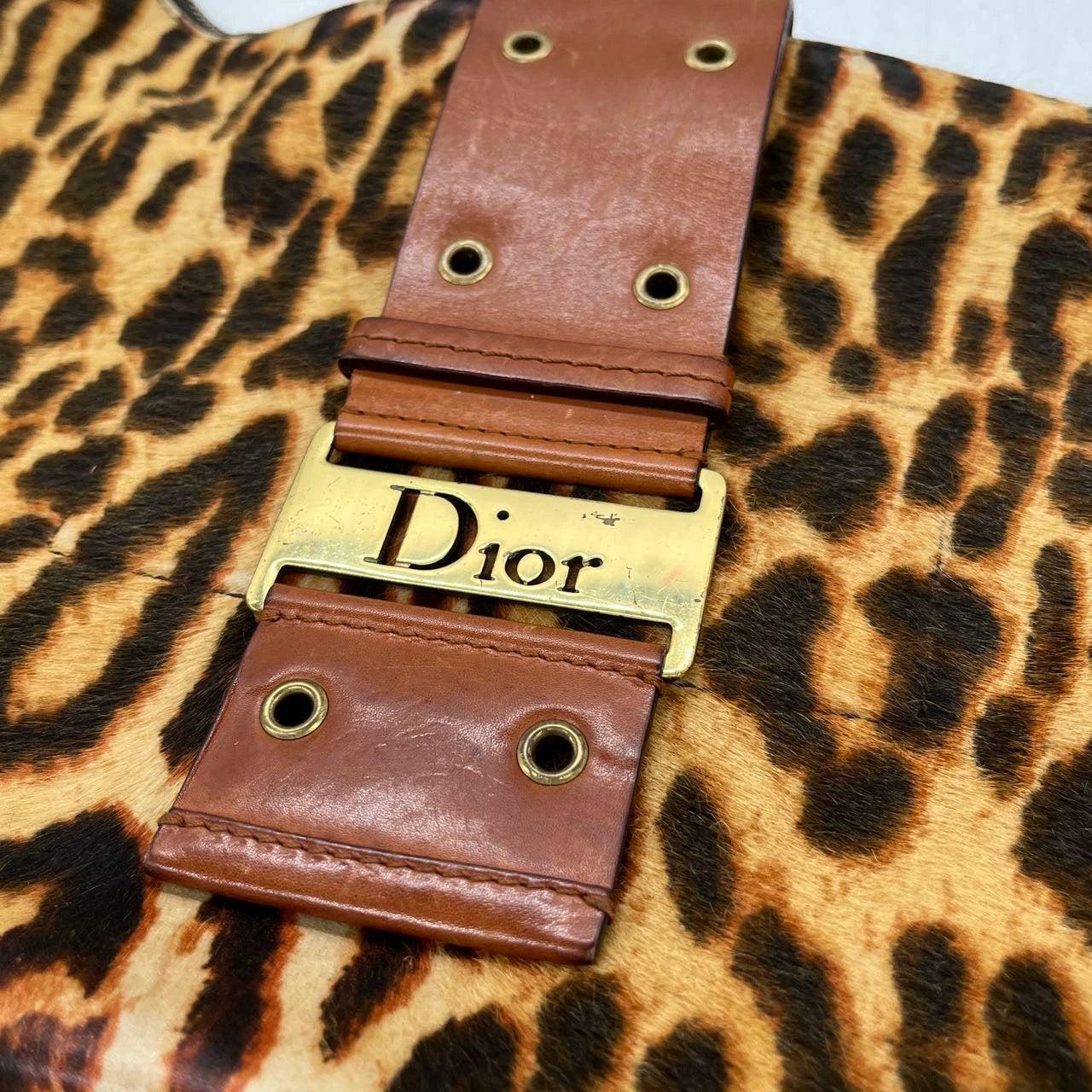 Dior Street Chic Hobo Leopard Print Pony-hair Calfskin 9