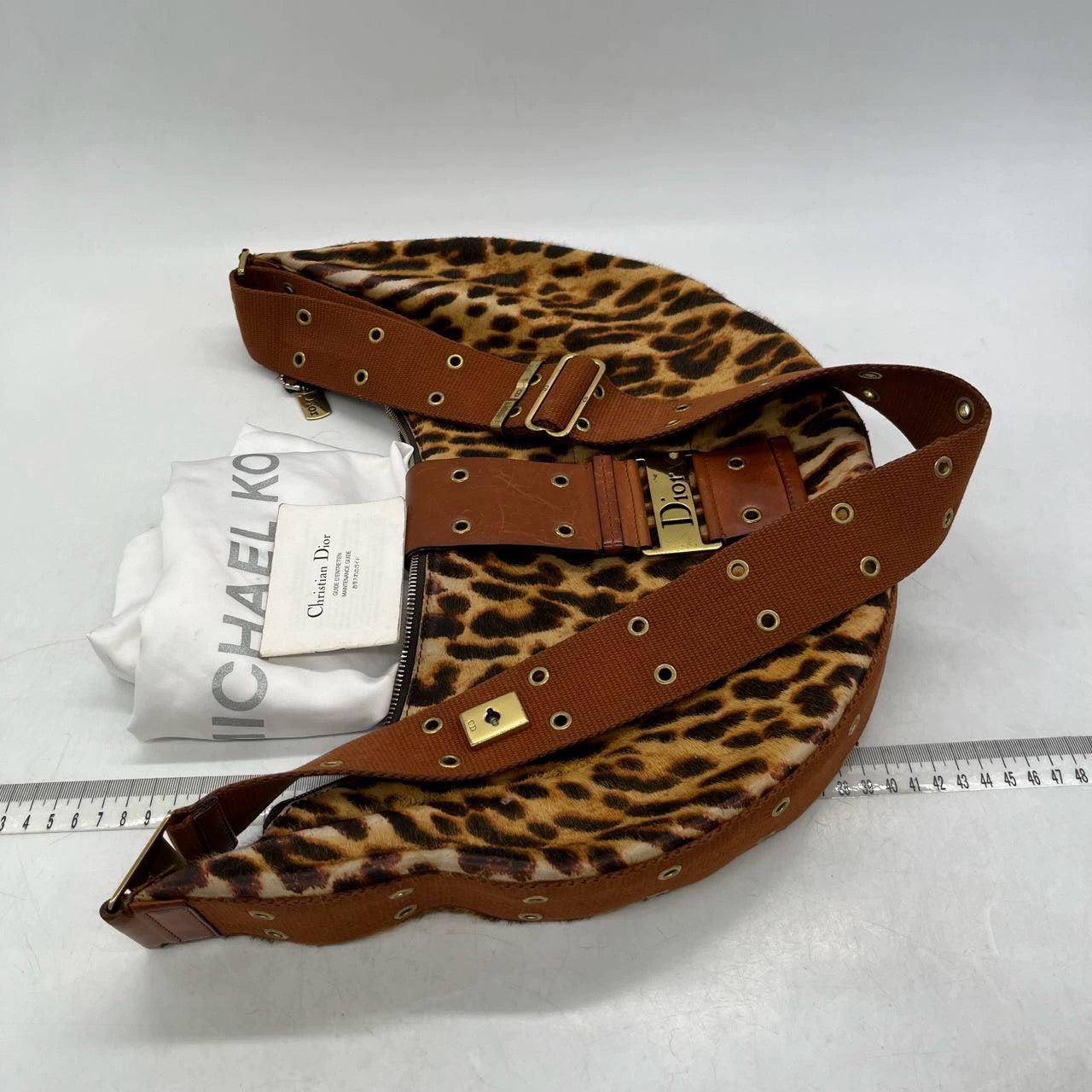 Dior Street Chic Hobo Leopard Print Pony-hair Calfskin 2
