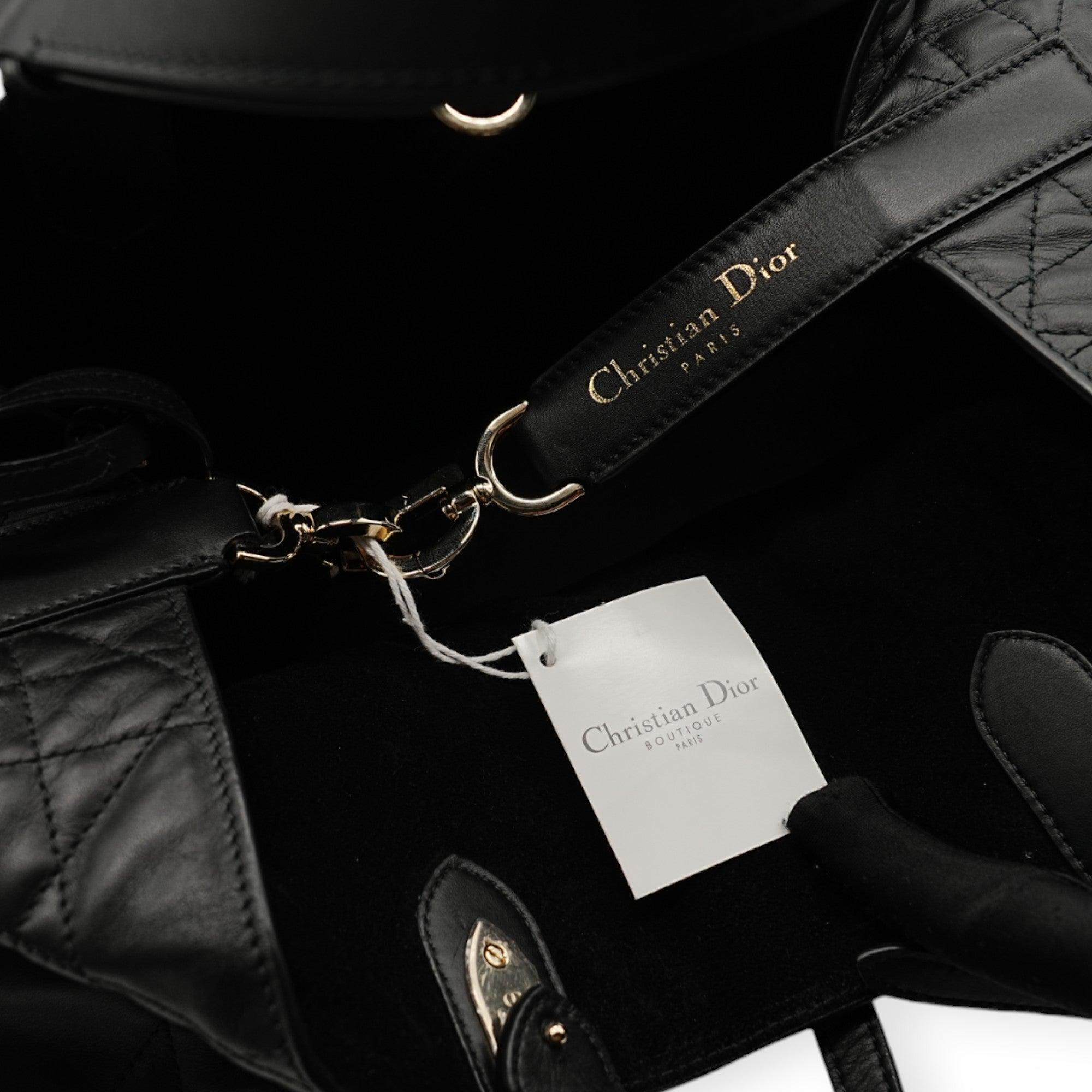 Dior Toujours Bag - '20s 1