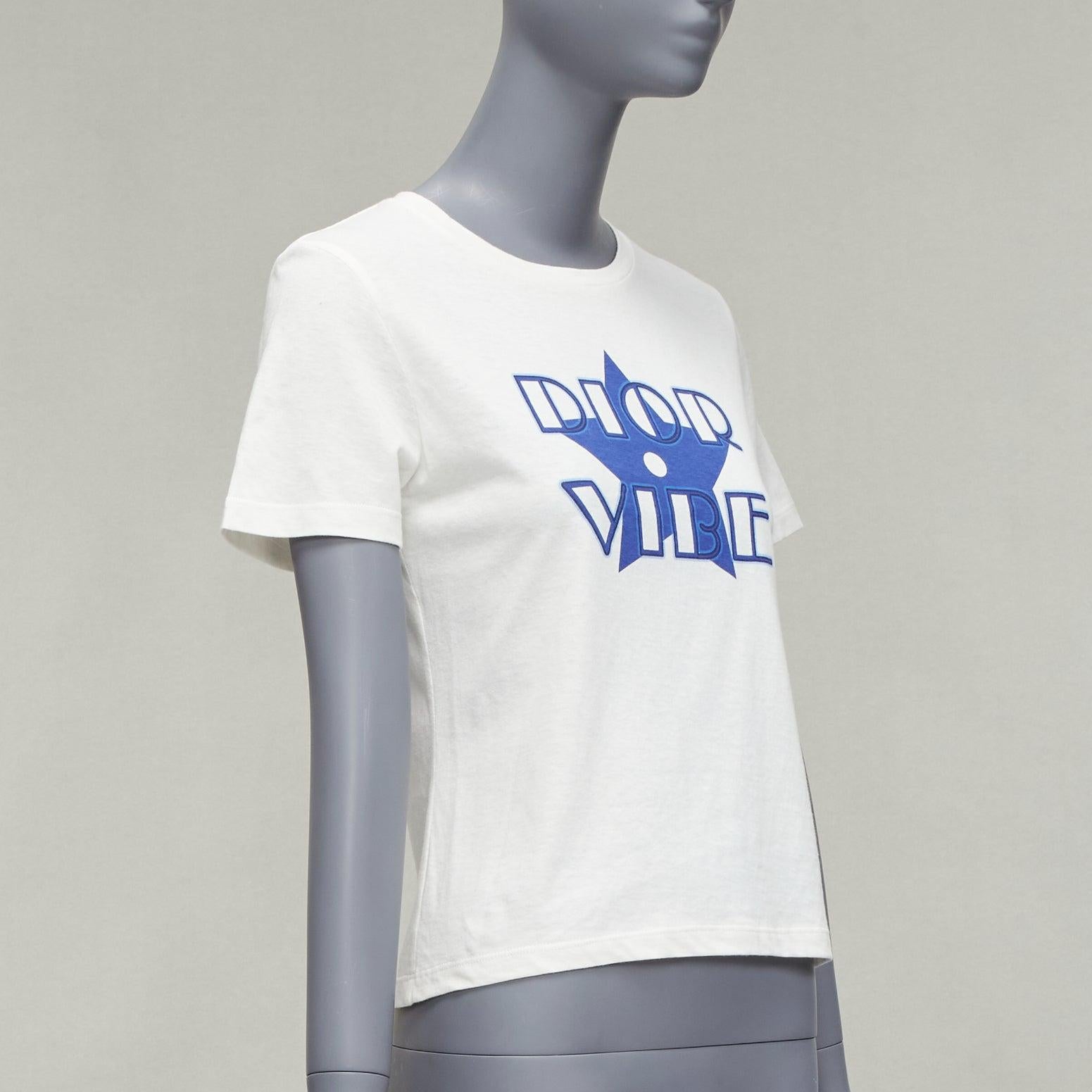 Gray DIOR Vibe blue star logo graphic print white cotton linen short sleeve tshirt XS For Sale