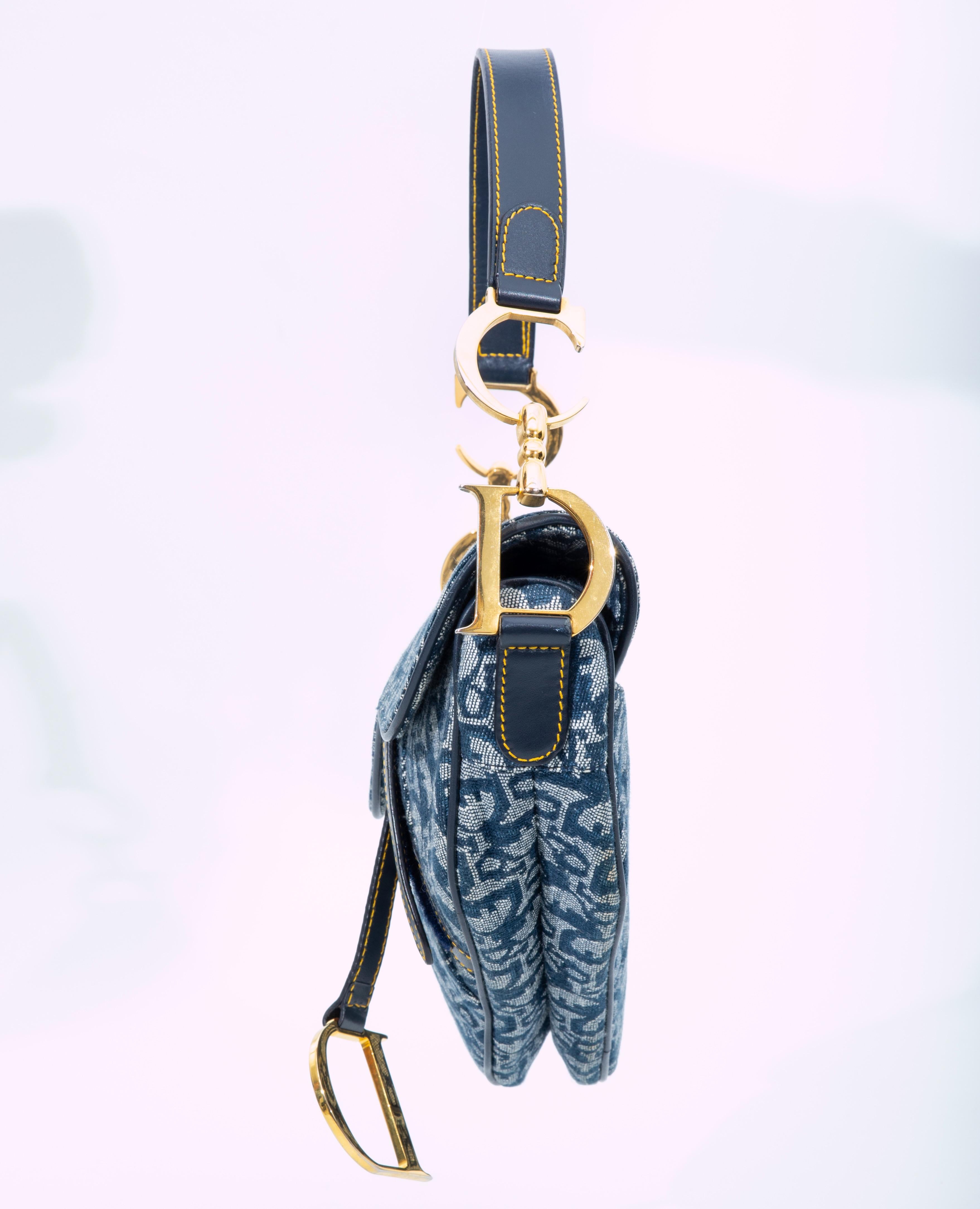 dior trotter saddle bag