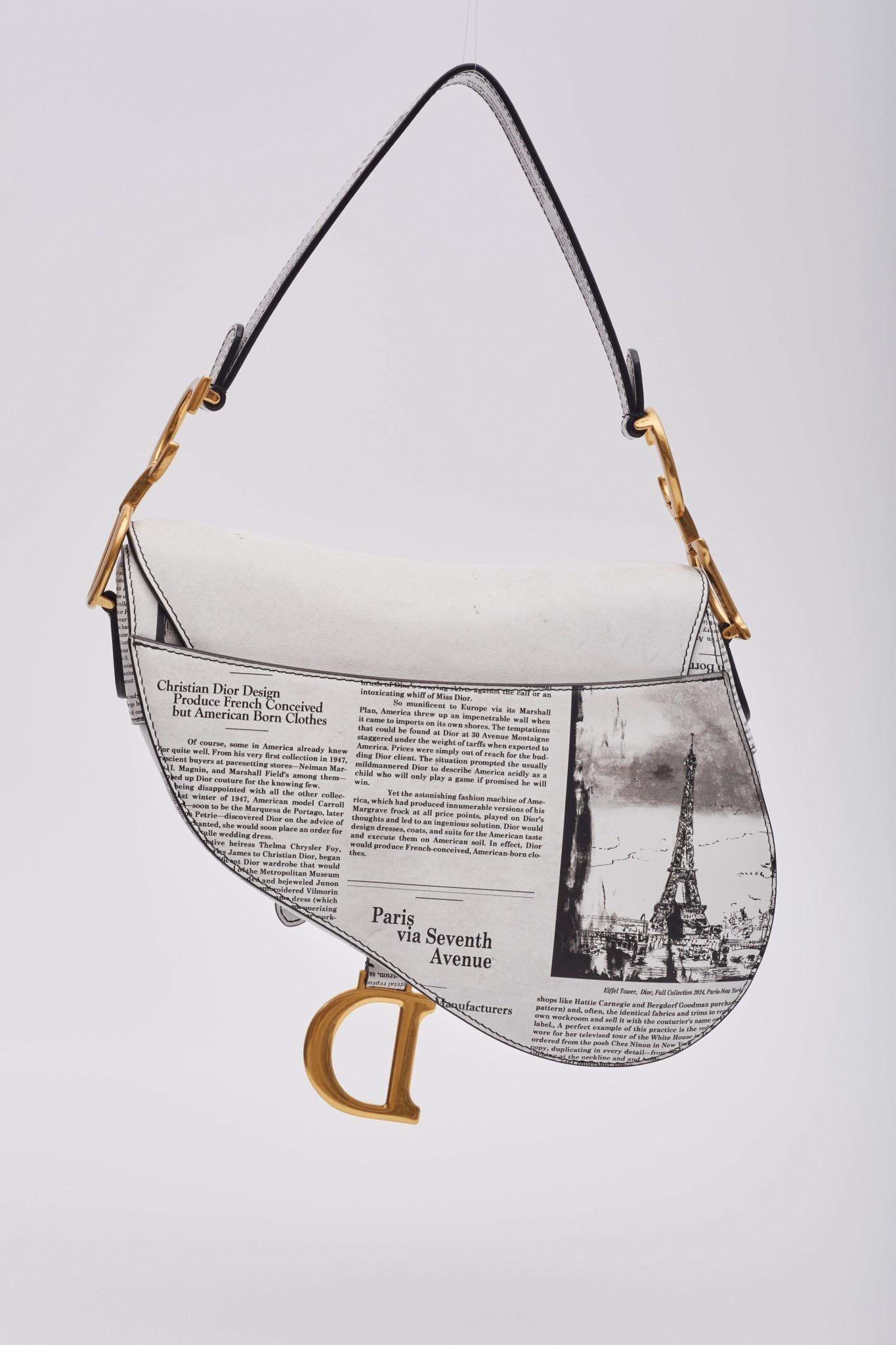 dior saddle bag newspaper
