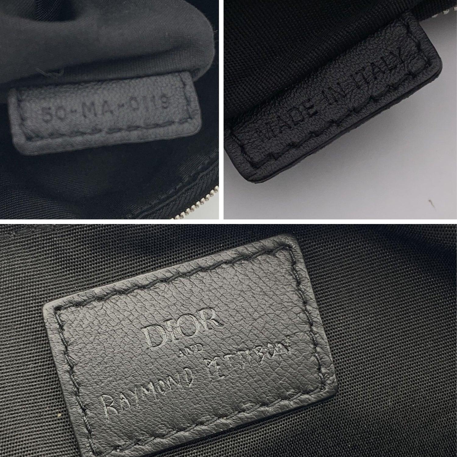 Dior x Raymond Pettibon Multicolor Nylon Zip Pouch Bag Pochette For Sale 1