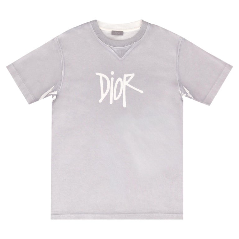 Dior x Shawn Stussy Ltd Edition Oversized Bee T-Shirt For Sale at 
