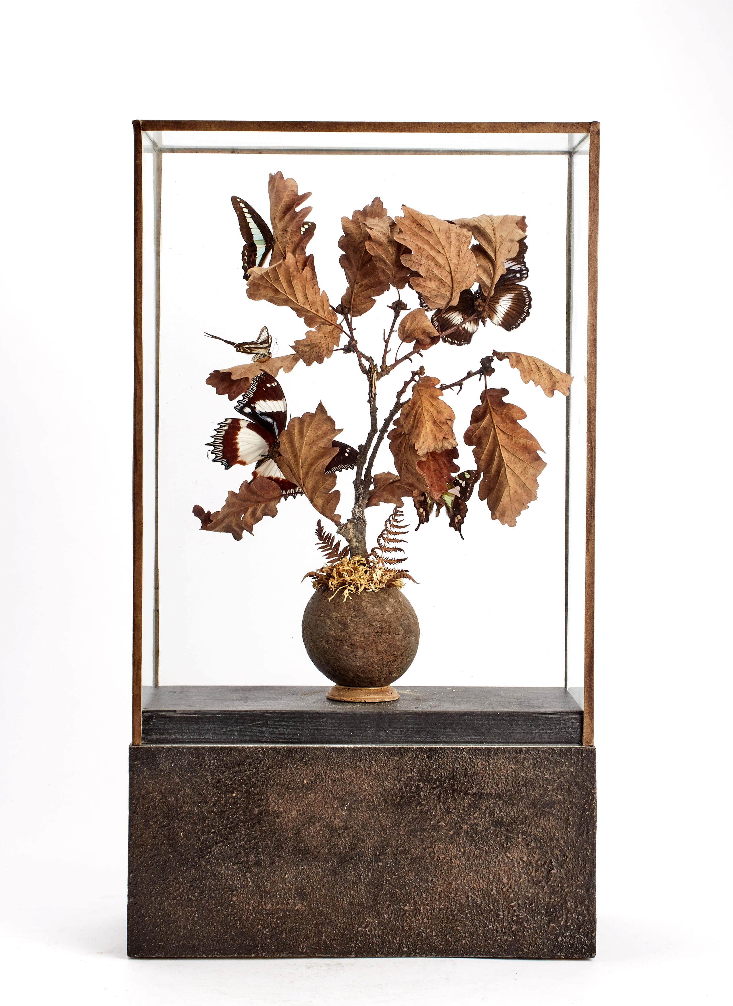 Late 19th Century Diorama with Butterflies and Flowers, Italy, 1870