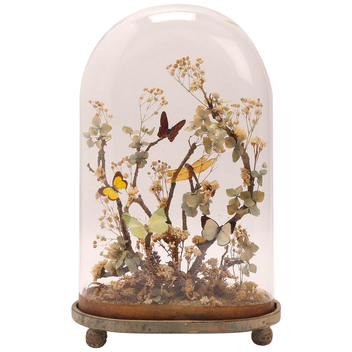 Diorama with Butterflies and Flowers, Italy 1870