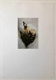 Set von Augen, Farblithographie, belgischer abstrakter Expressionismus Tamarind-Druck