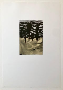 Set of Eyes, Color Lithograph, Belgian Abstract Expressionist Tamarind Print