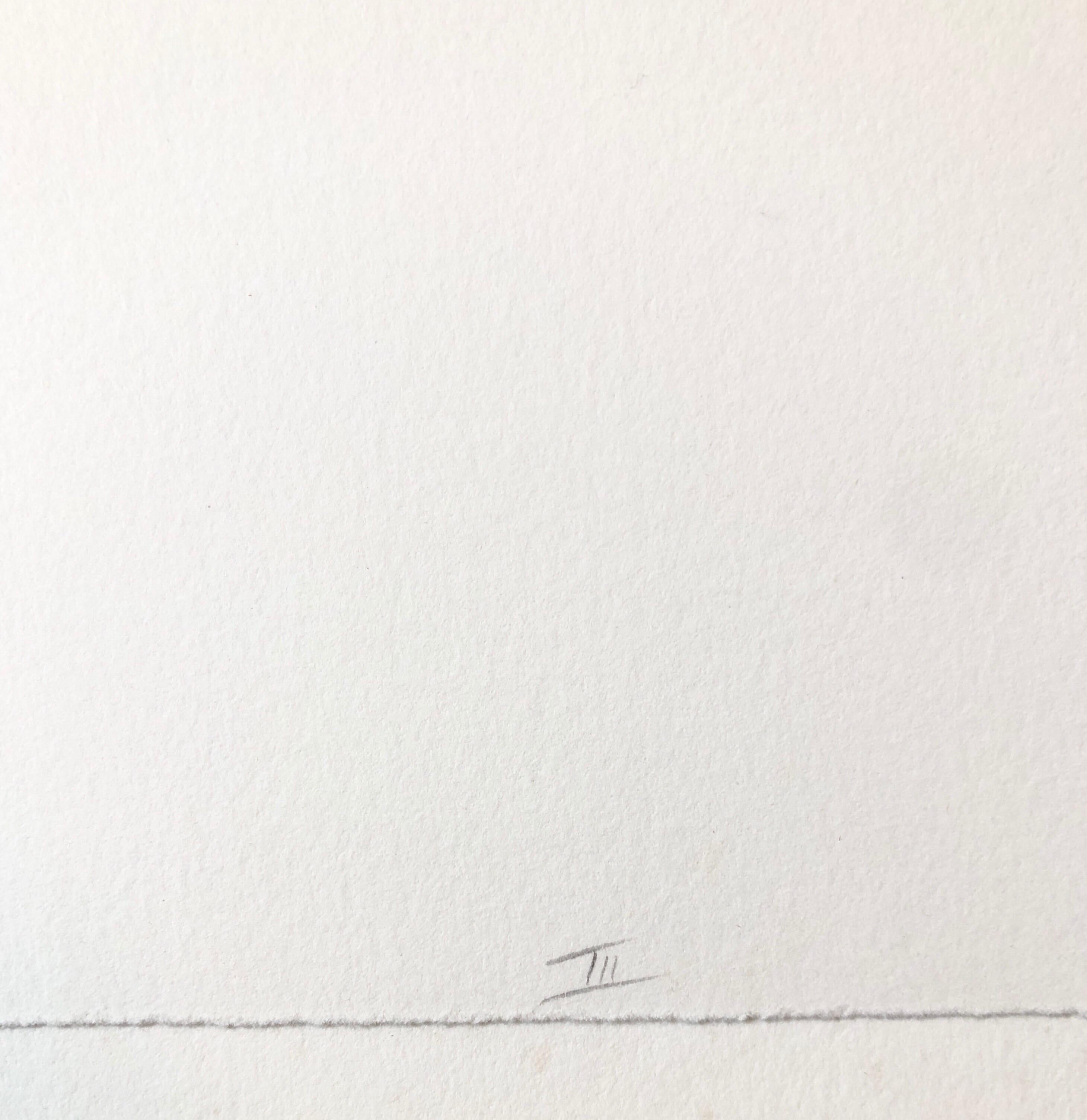 Signé, daté et titré. Initialisées et datées en bas à droite, chacune numérotée 8/20 en bas à gauche. Taille de l'image 9 x 6, format de la feuille 22 x 15 in. Avec le cachet de l'atelier d'impression de l'Institut des Tamarins.

Artiste