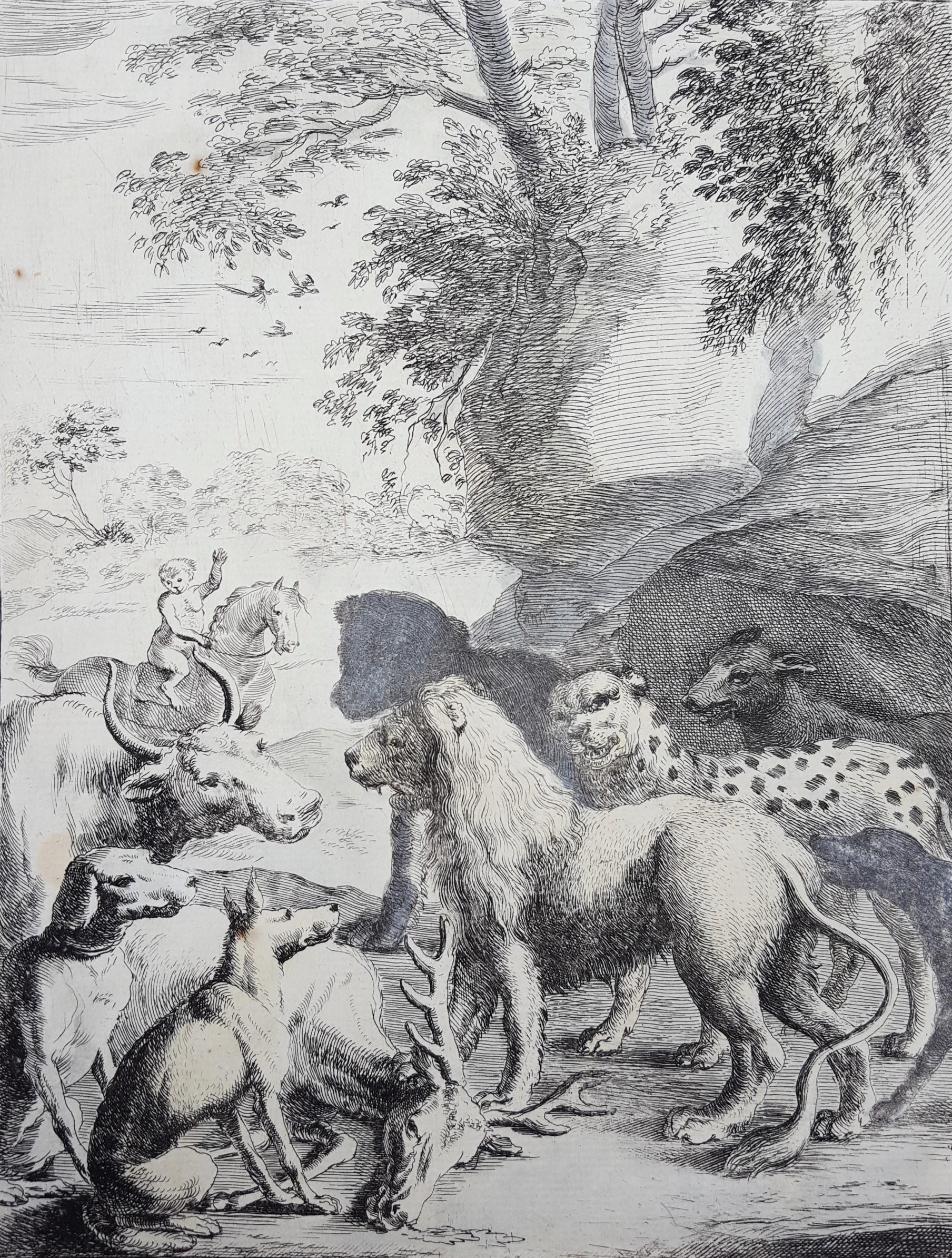People Animal Prints