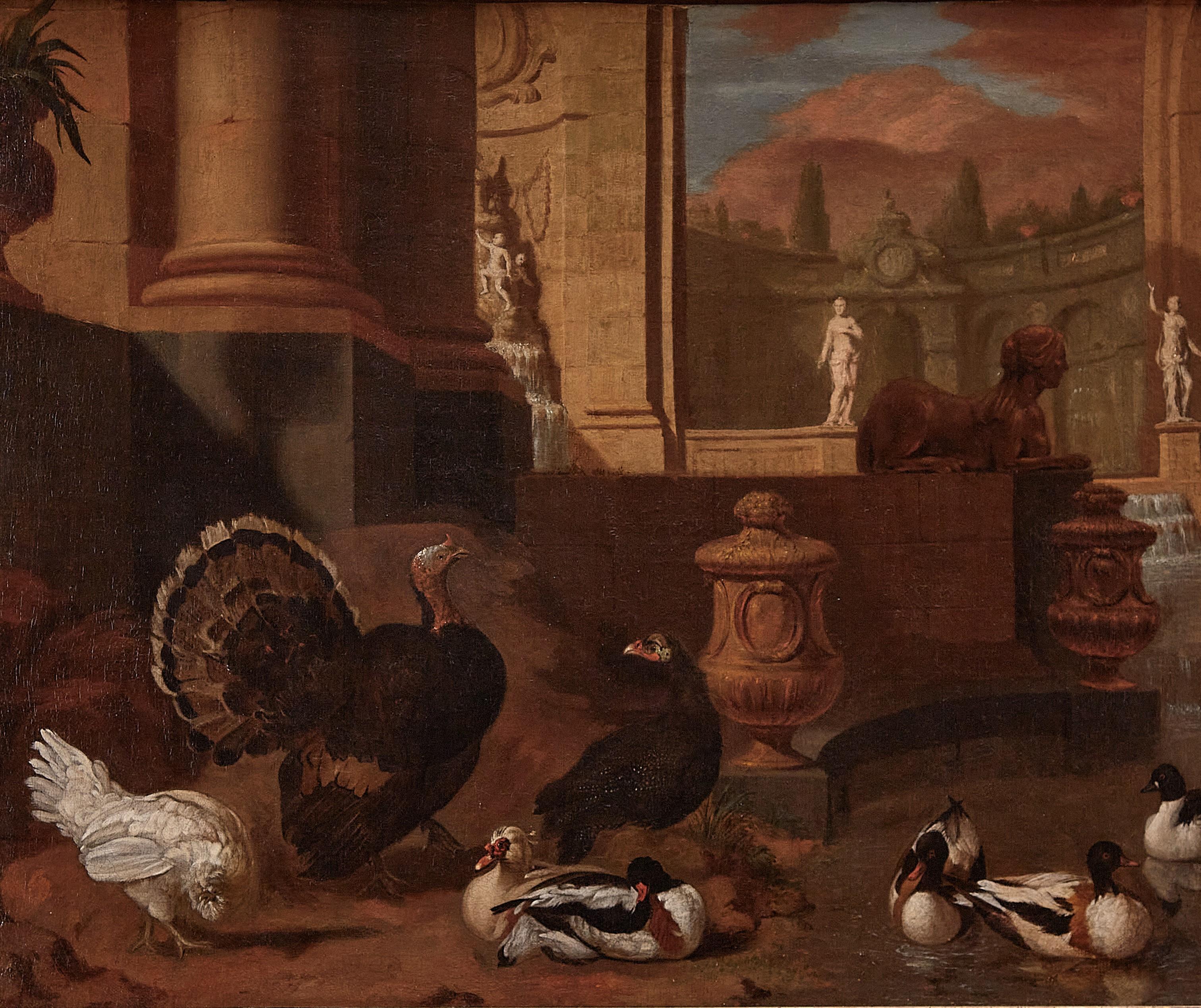 Dutch 18th century painting of birds and ornamental fowl with classical ruins - Painting by Dirk Wyntrack