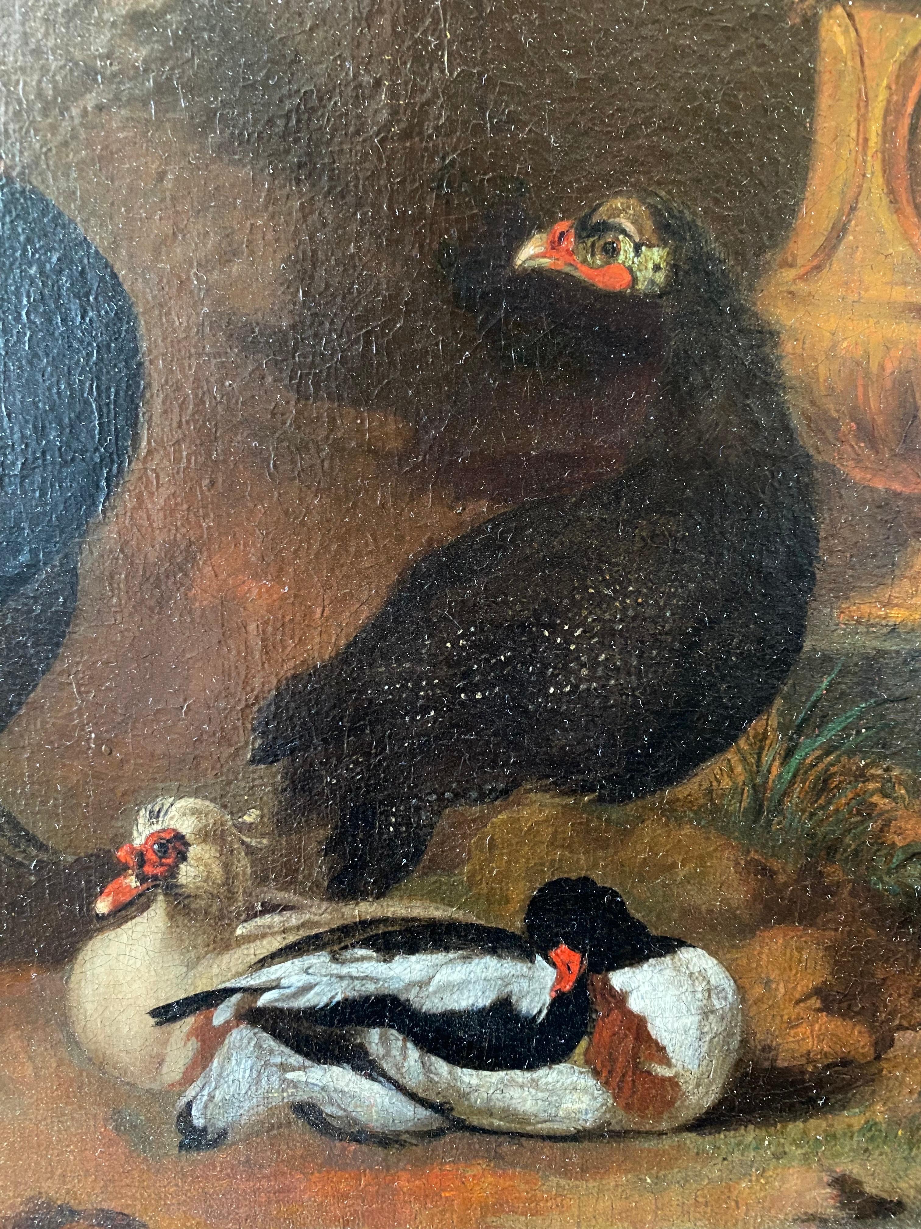 Dutch 18th century painting of birds and ornamental fowl with classical ruins - Old Masters Painting by Dirk Wyntrack