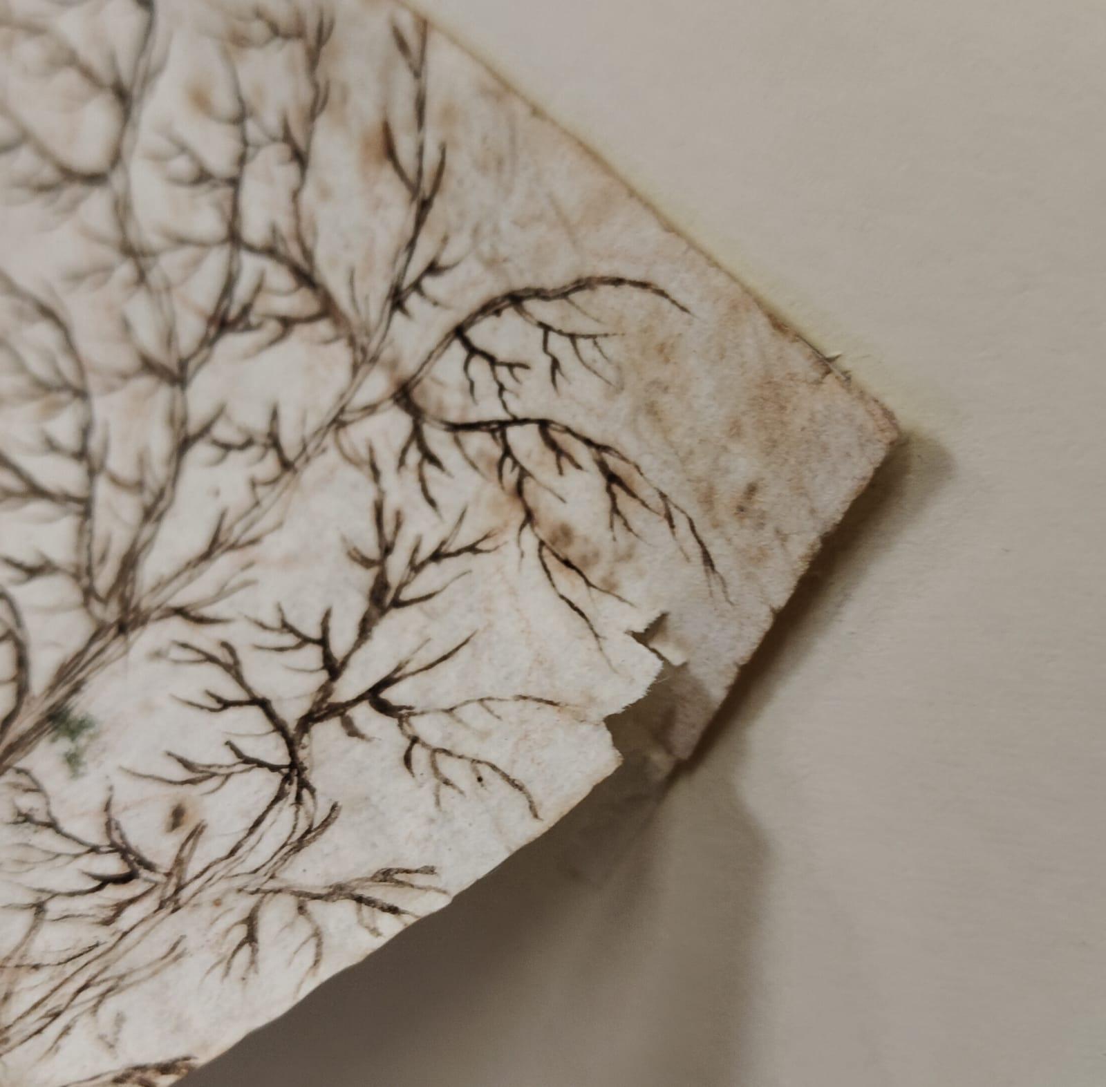 Carta Disegno a china di un paesaggio olandese - 1680, Olanda in vendita