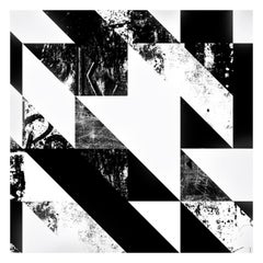Disintegration Wallpaper in Black and White Colorway, Latex Ink on Smooth Paper