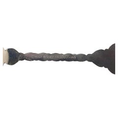 Disneyland Collection Silver Teaspoon