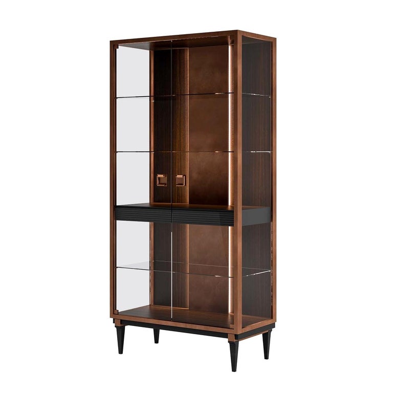 Display Cabinet For Sale at 1stdibs