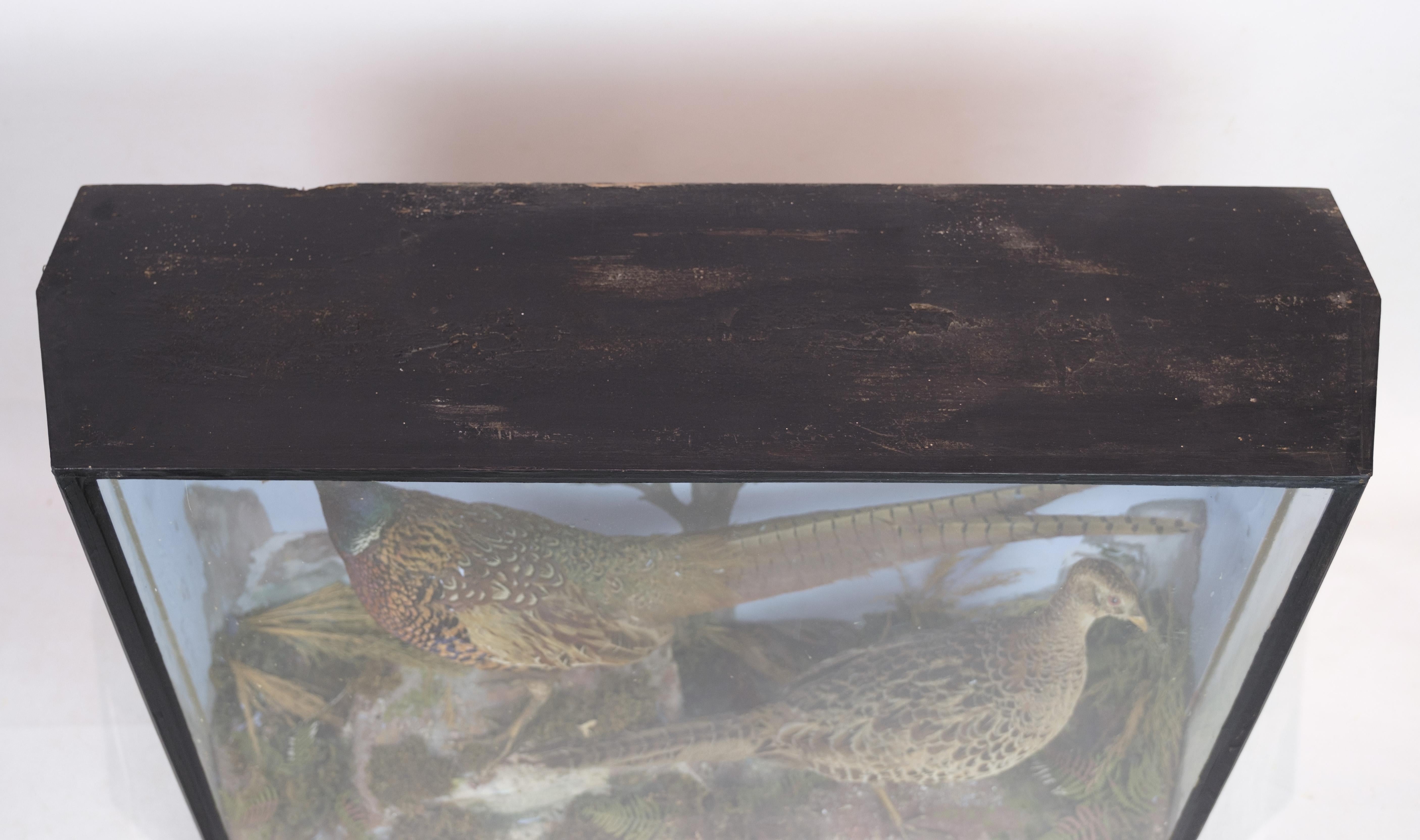 This captivating display cabinet, adorned with a male and female pair of pheasants, reflects the aesthetic charm of the 1960s. While details about the designer and manufacturer are unavailable, the cabinet's ornate design and nostalgic appeal make