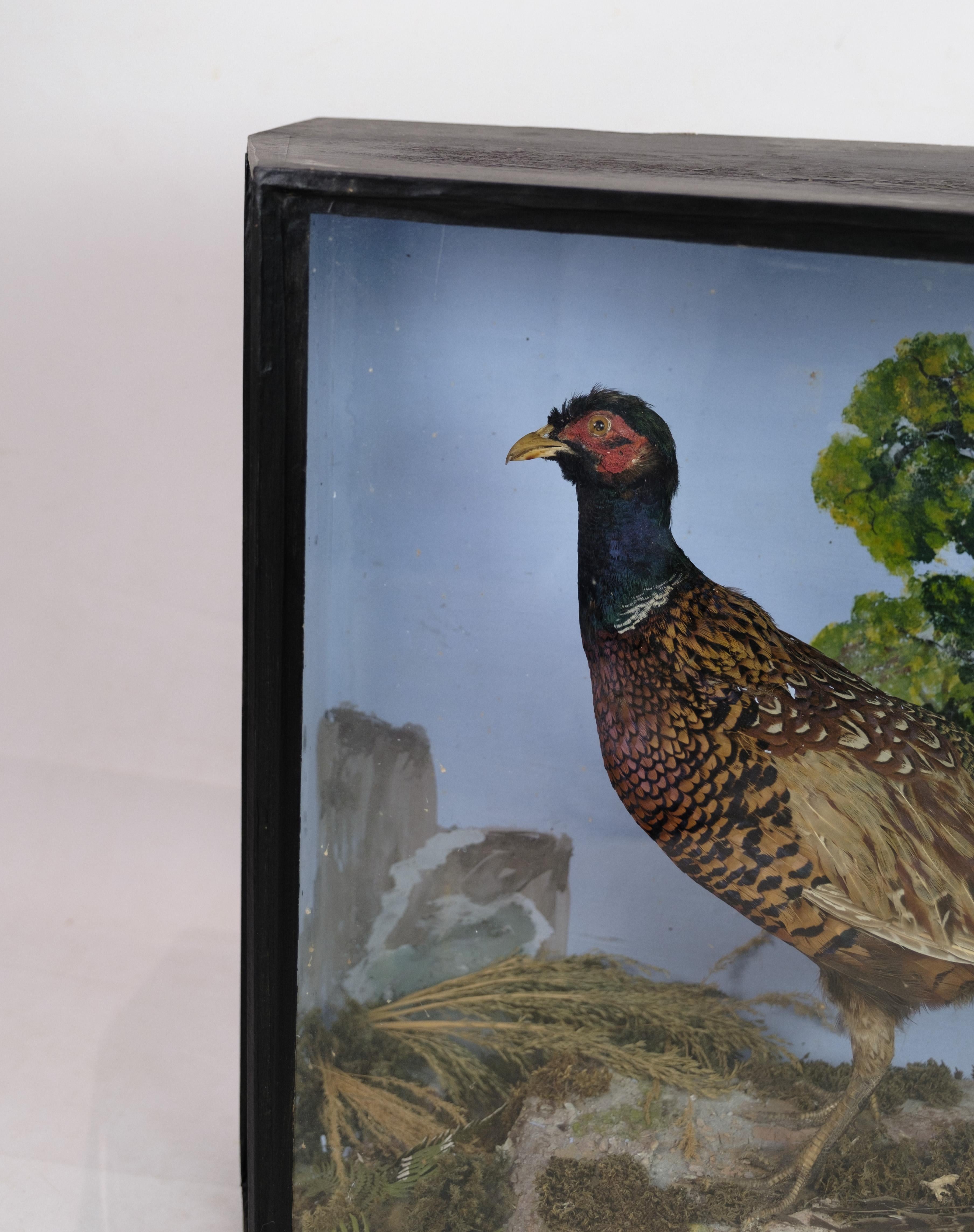 Mid-Century Modern Display cabinet With A Pair Of Pheasants From 1960s For Sale