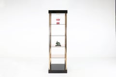 Vitrinengehäuse mit Glasböden von Belgo Chrom / Dewulf Selection, 1980er Jahre