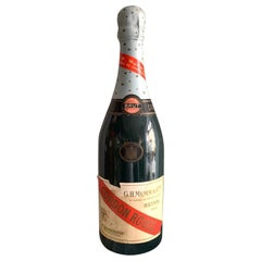 Display Champagne Bottle