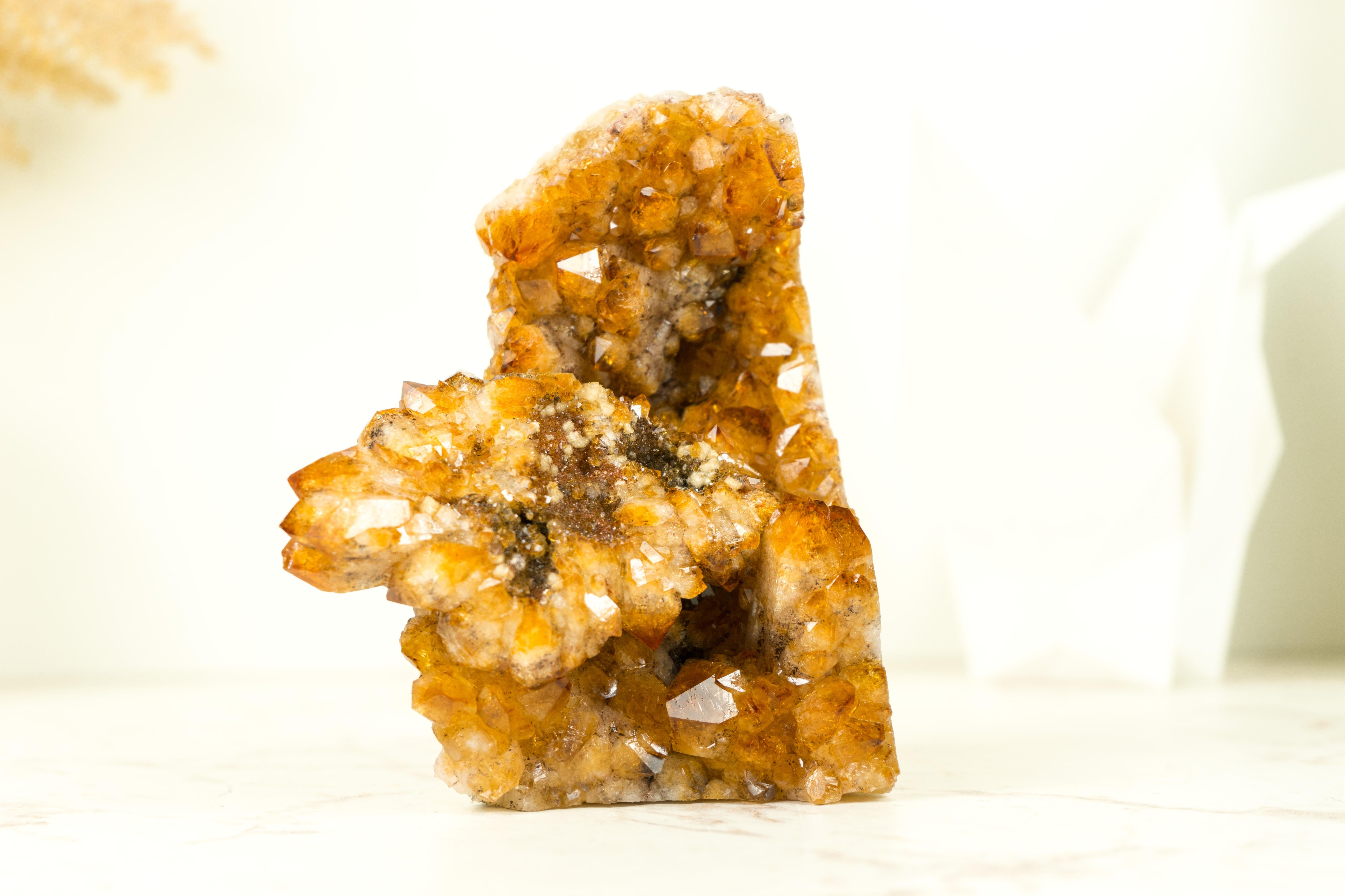 Display Grade Citrine Flower Cluster with Madeira Citrine Druzy, Self Standing For Sale 4
