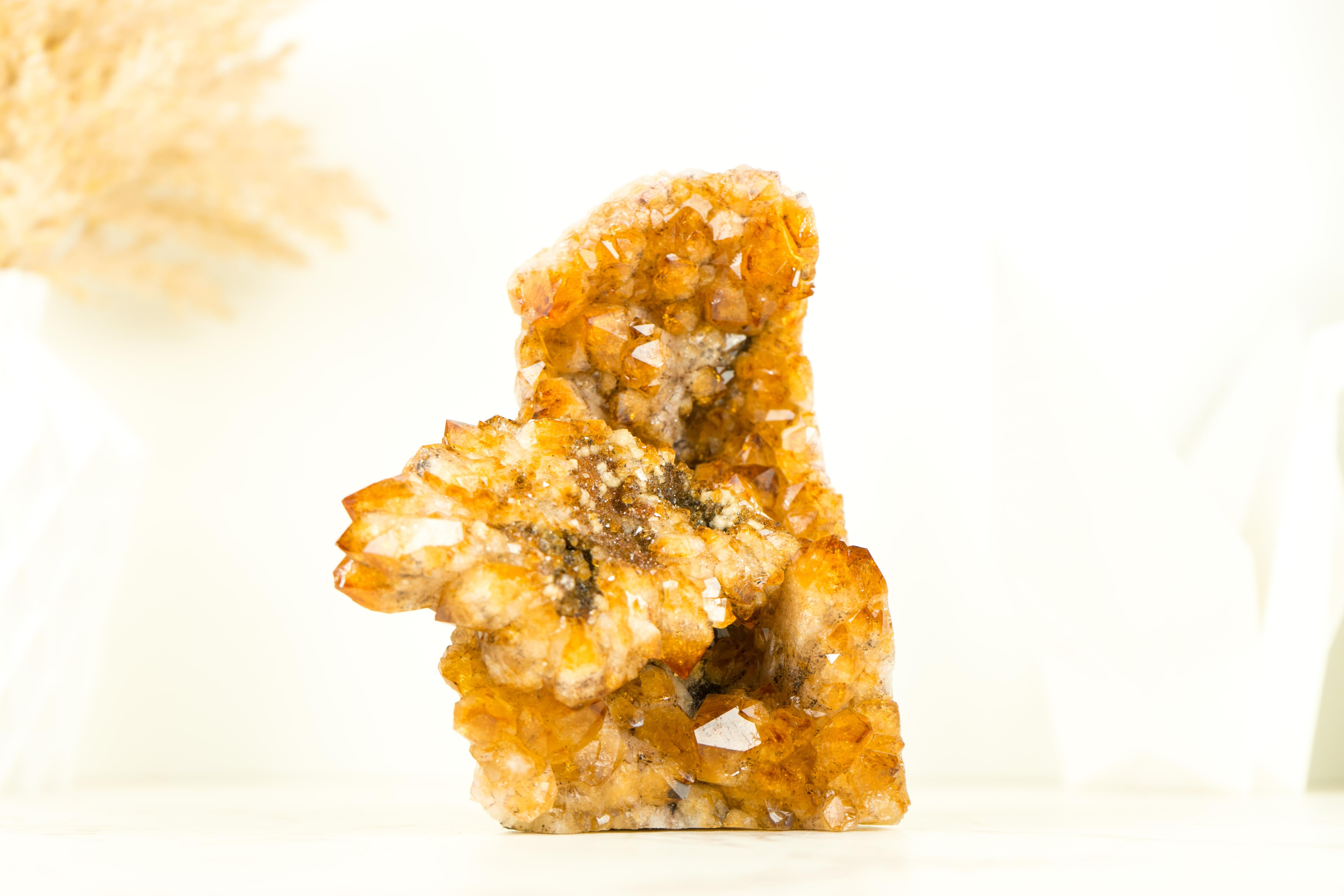 Display Grade Citrine Flower Cluster with Madeira Citrine Druzy, Self Standing For Sale 6