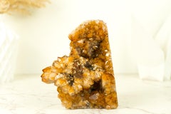 Display Grade Citrine Flower Cluster with Madeira Citrine Druzy, Self Standing
