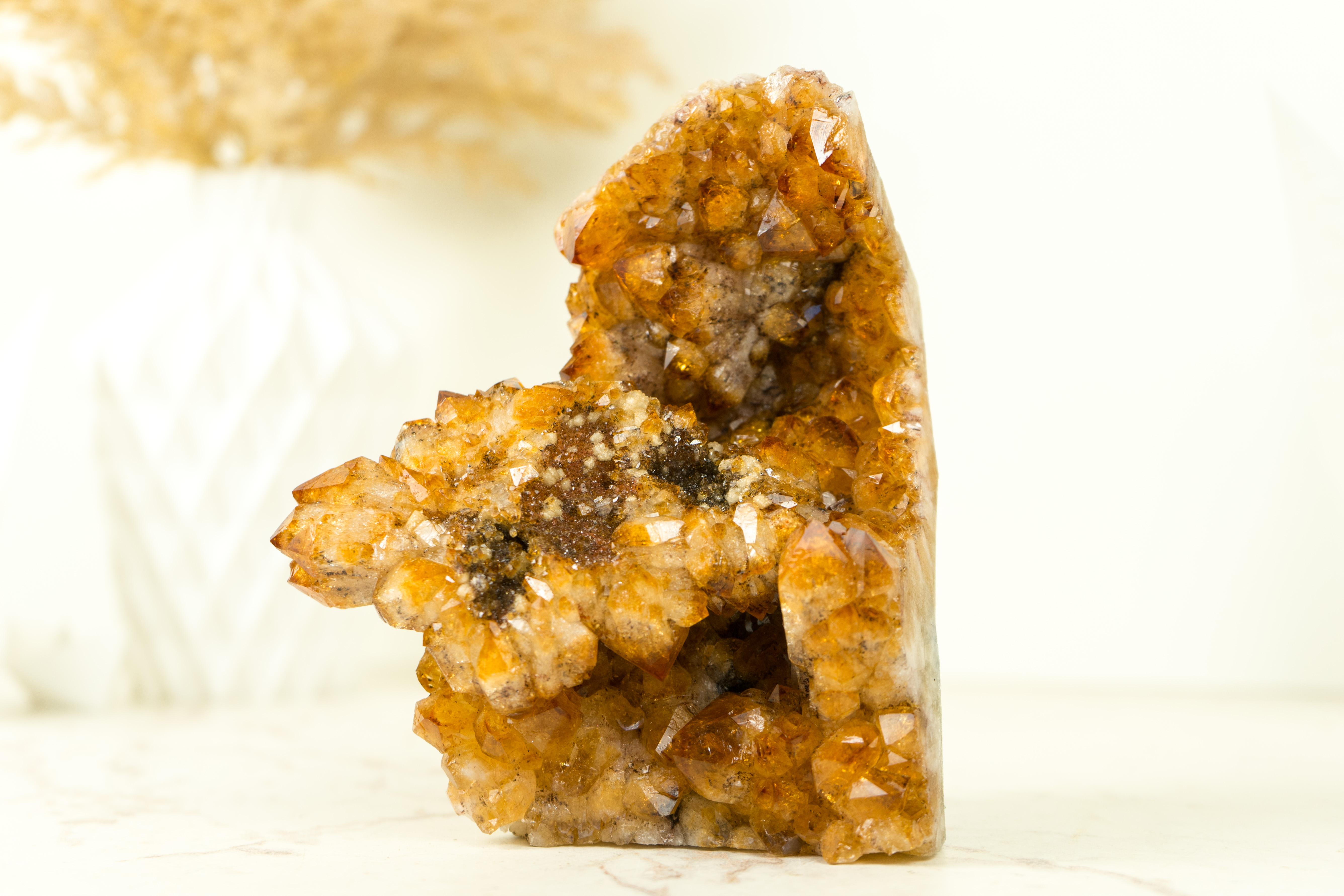 Display Grade Citrine Flower Cluster with Madeira Citrine Druzy, Self Standing In New Condition For Sale In Ametista Do Sul, BR