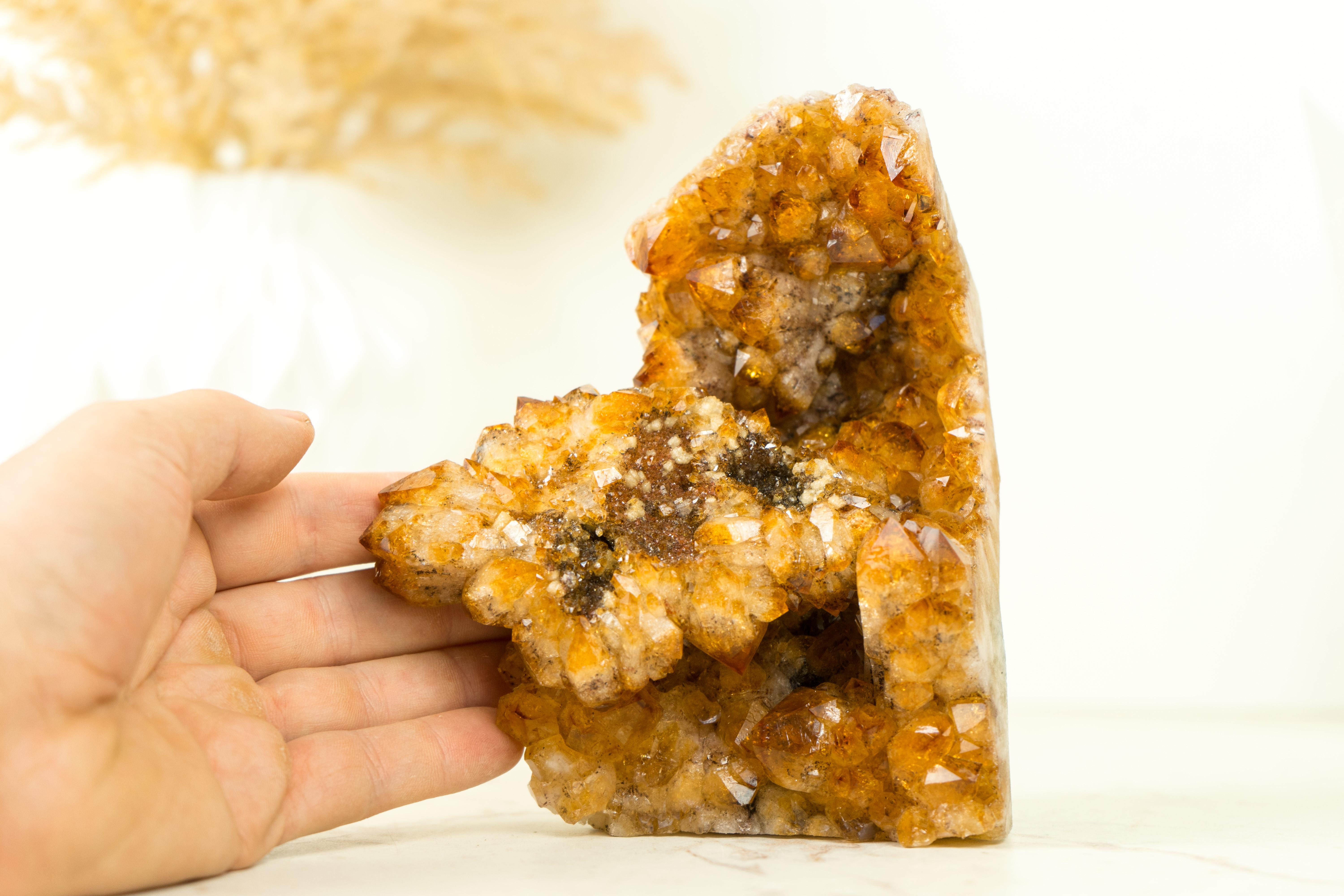 Display Grade Citrine Flower Cluster with Madeira Citrine Druzy, Self Standing For Sale 3