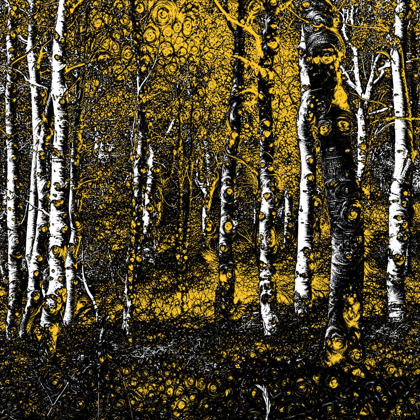 Sundance Dream Noir