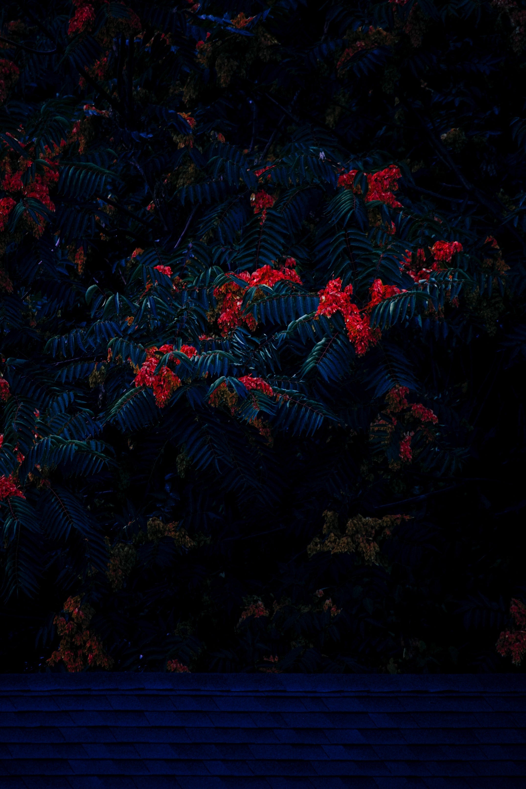 Wandering in Ethereal Realms