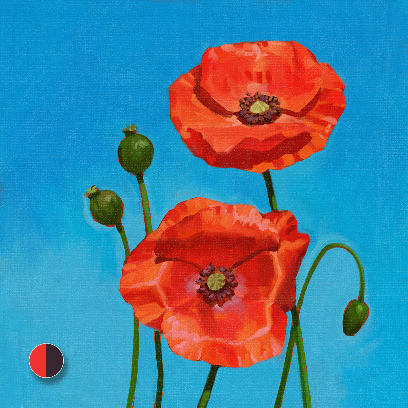 BL00M - Poppy 1 of 3