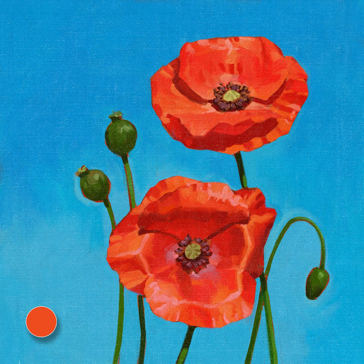 BL00M - Poppy 3 of 3
