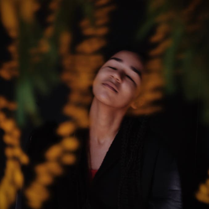 Le Parfum des Mimosas