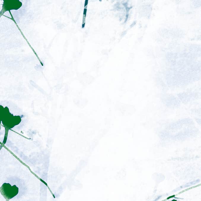 Ocean of Signal Ocean of Noise #1