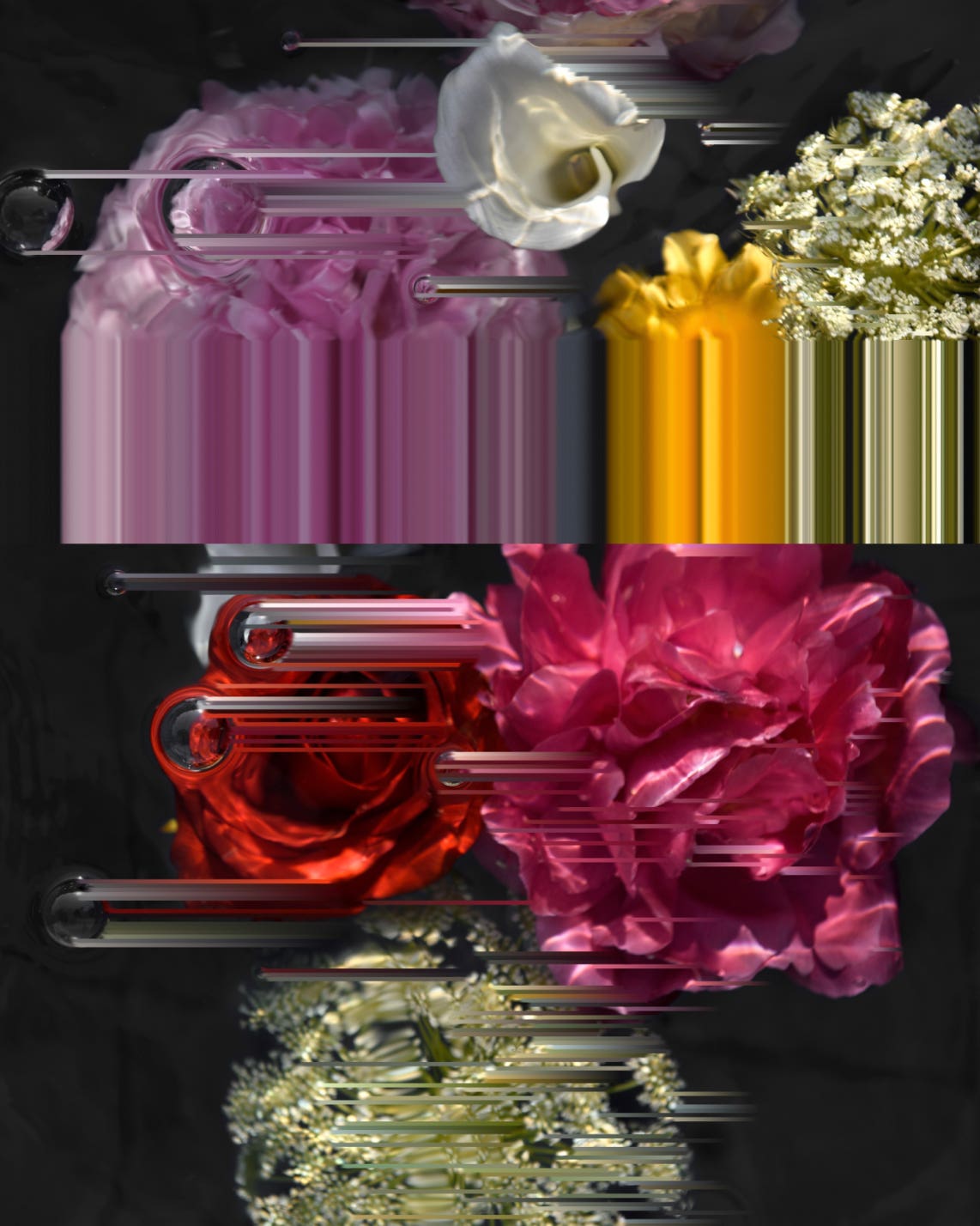 Nature Versus Nurture III