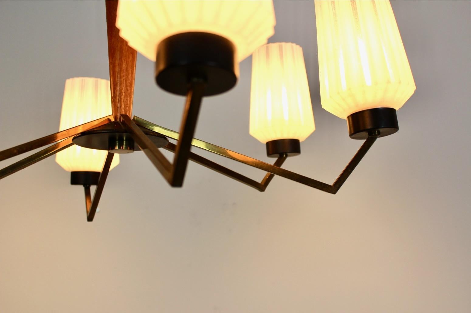 Lampadario distintivo in ottone, Wood e vetro opalino in vendita 3