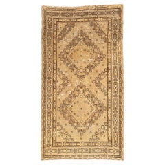 1900's Turkestan Khotan Rug with Traditional Style