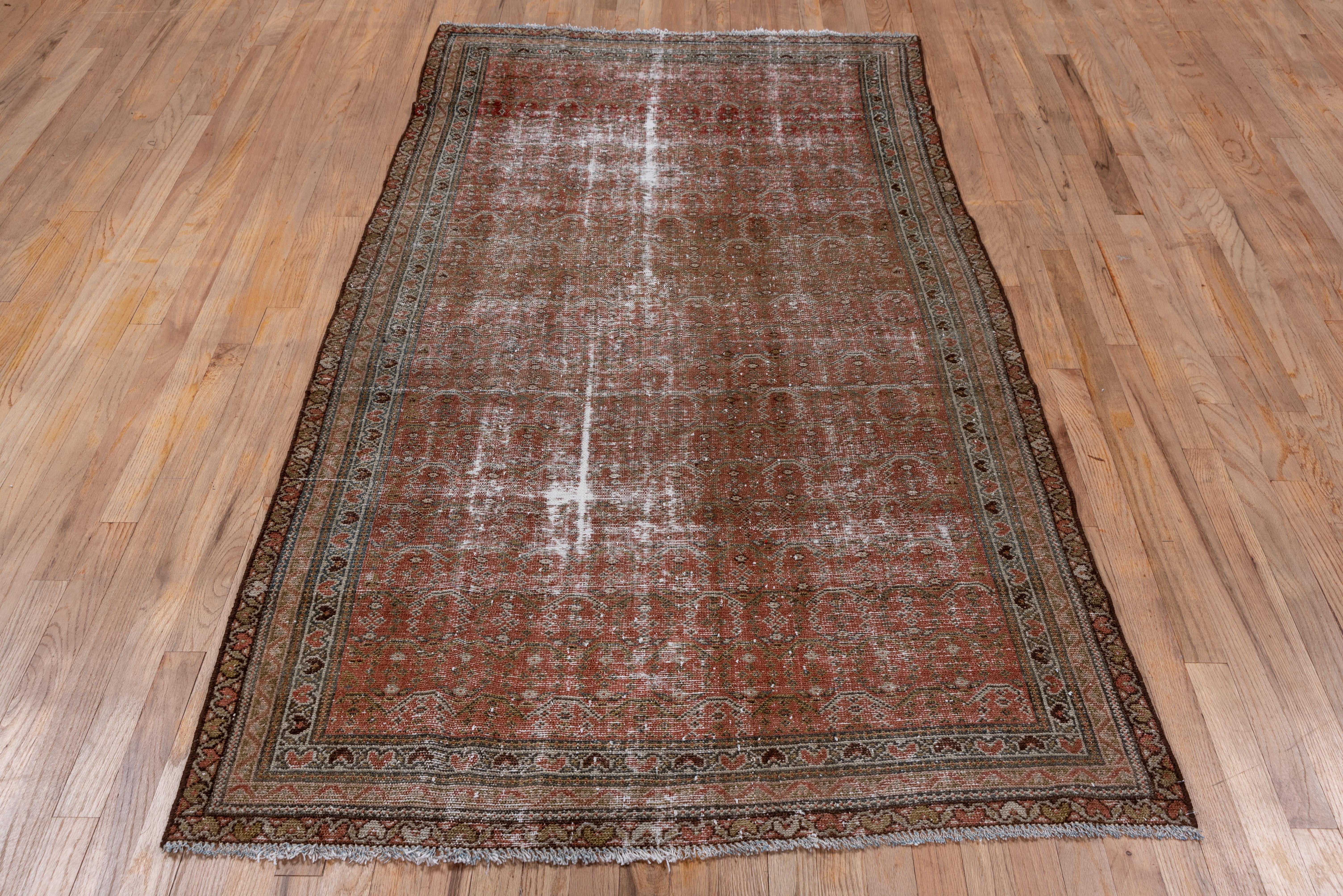 This beautiful persian Malayer rug is distressed, but still in good condition. It has a medium weave that shows offset rows of geometric paisleys on a coral and rust ground. Three narrow borders all show reversing fan palmettes in alternating