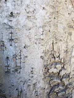 Distressed & Chipped Plaster Planter