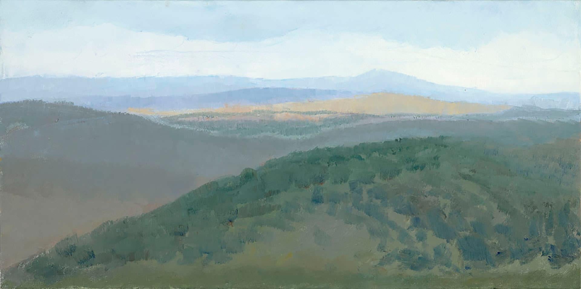 Dita Jacobovitz Landscape Painting - A Misty Day