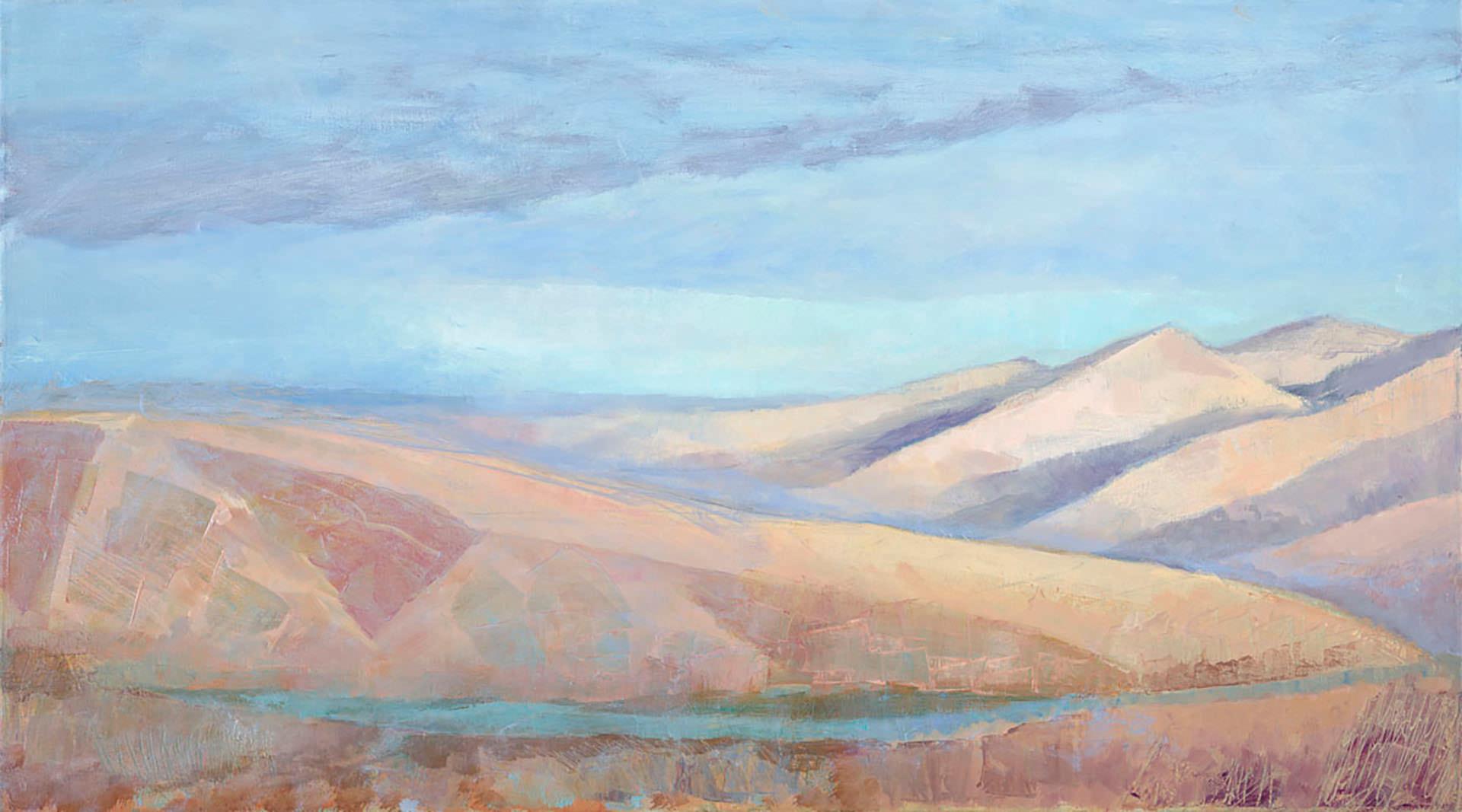 Dita Jacobovitz Landscape Painting - Desert Zin