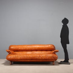 Canapé des années 70 par E. Cobianchi pour Insa