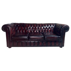 Divano Chesterfield in pelle e legno, Inghilterra, anni '70