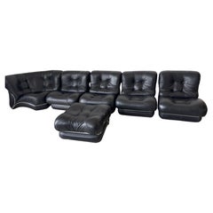 Corolla modular sofa by Rito Valla for IPE Italia, 1970s