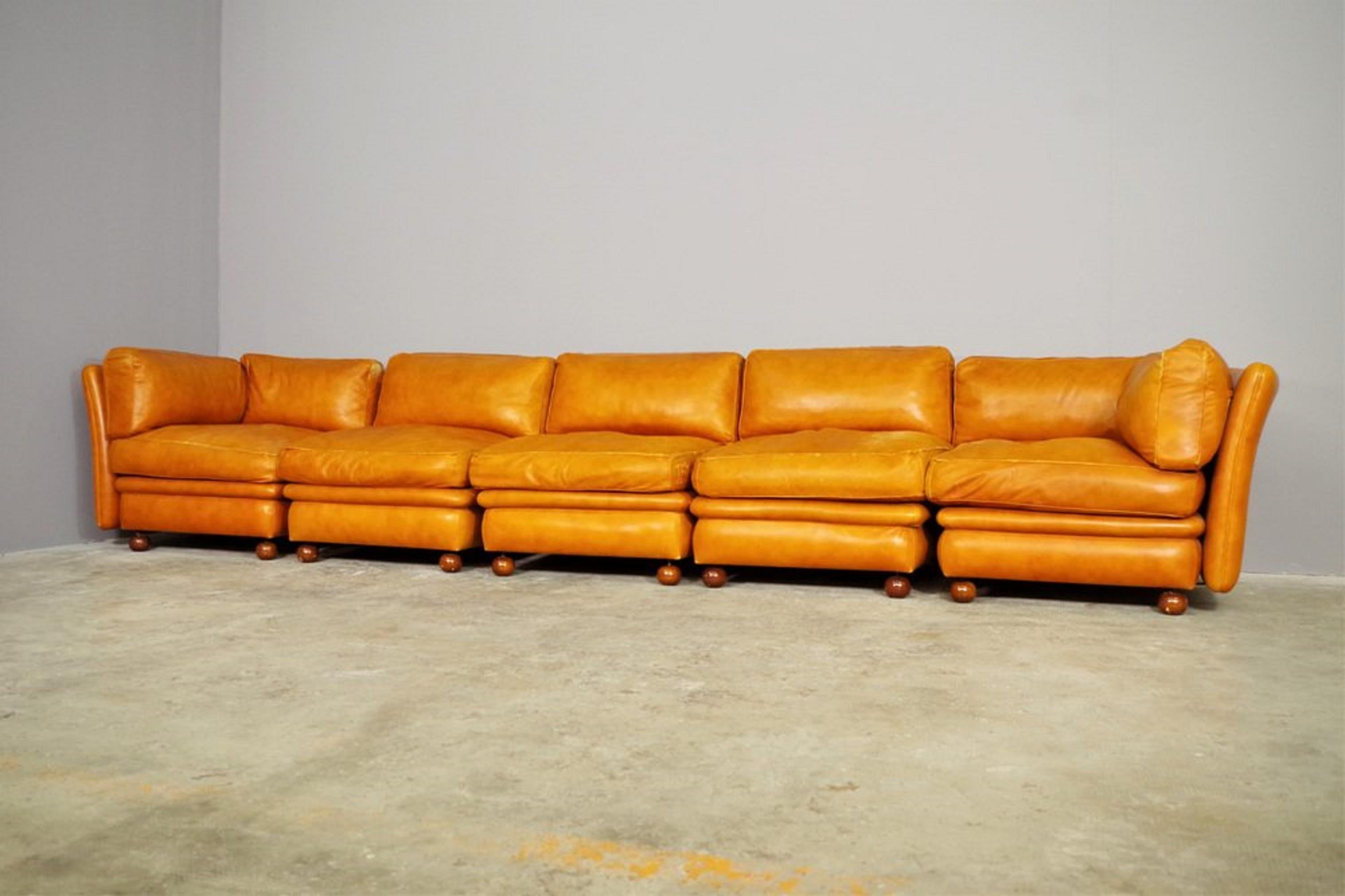 Divano modulare Frau in pelle, 1970, set di 5 in vendita 4