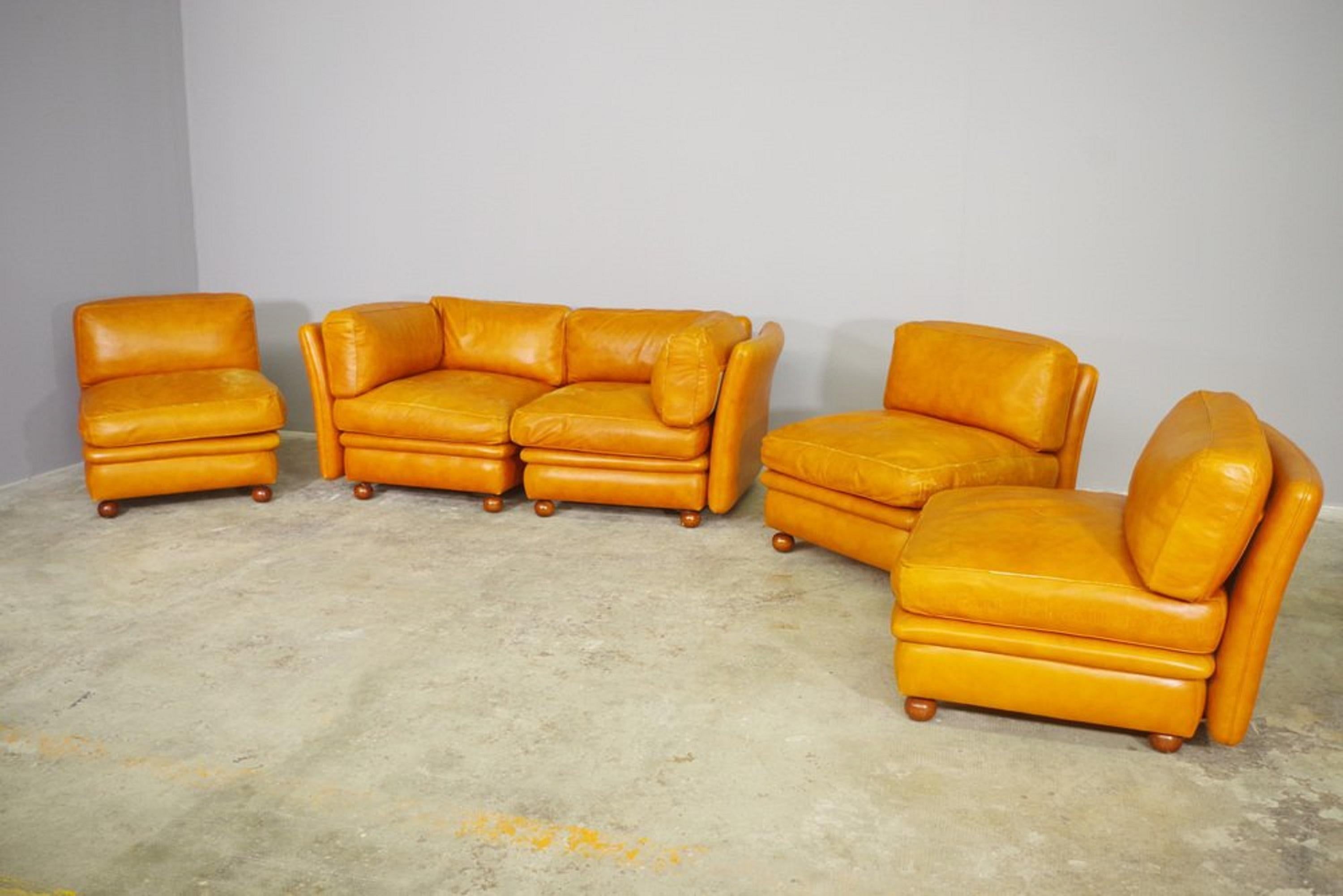 Divano modulare Frau in pelle, 1970, set di 5 in vendita 6