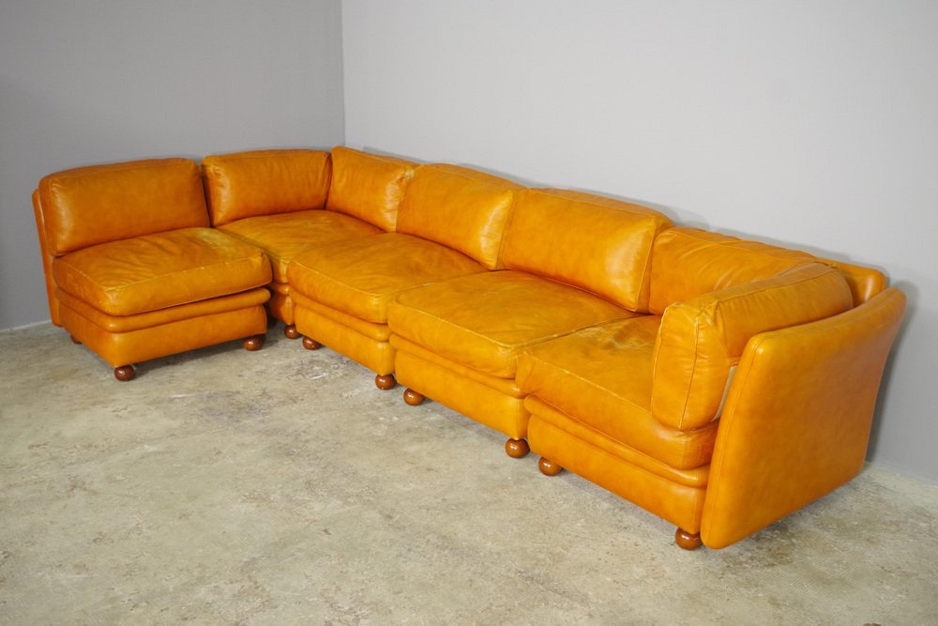 Italian Divano modulare Frau in pelle, 1970, set di 5 in vendita