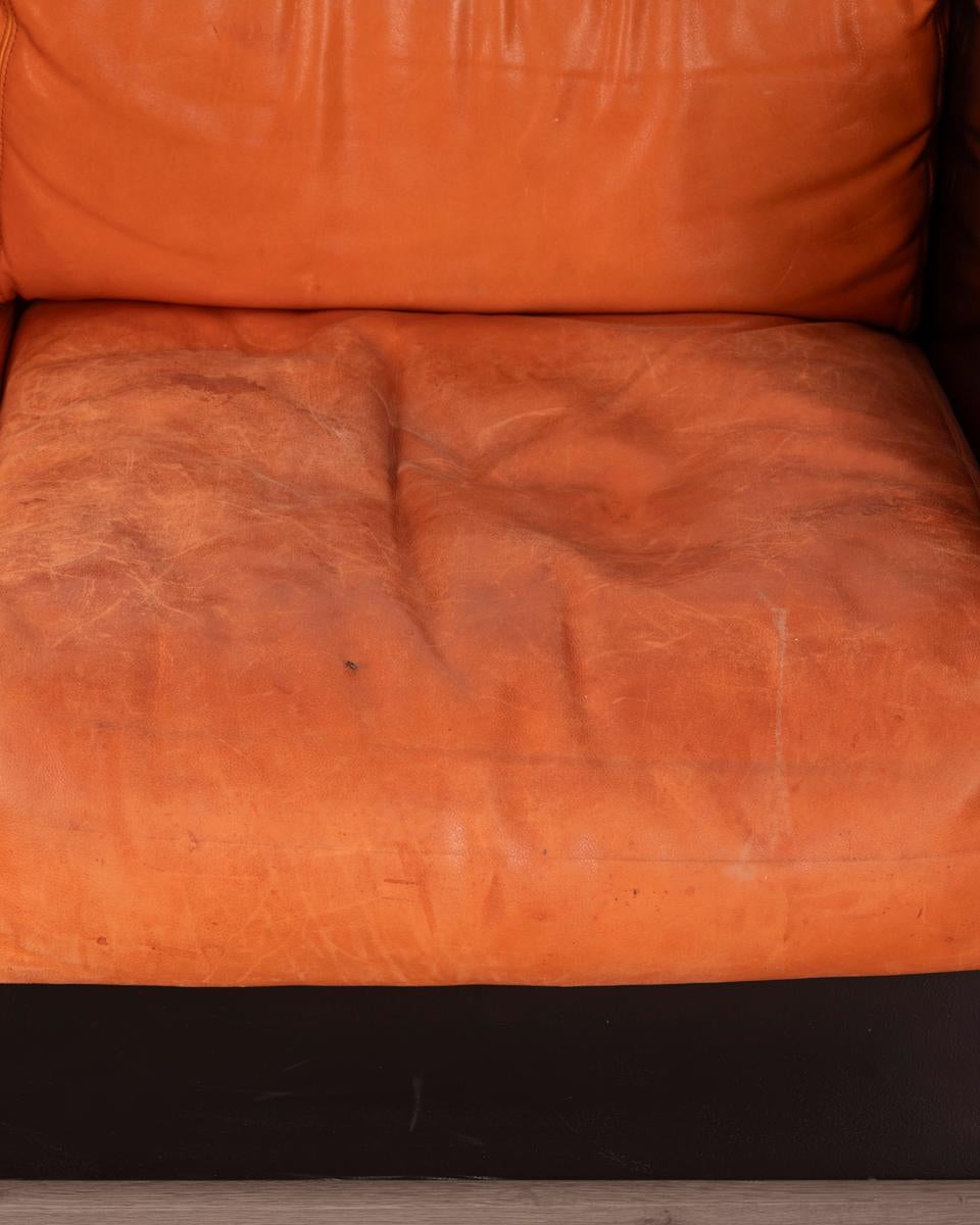 Leather divano vintage anni 60 Saratoga design Lella & Massimo Vignanelli Poltronova For Sale